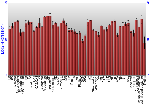 Expression graph