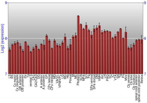 Expression graph