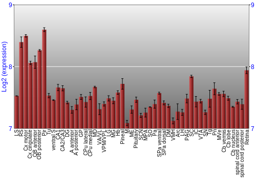 Expression graph