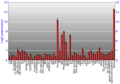 Expression graph
