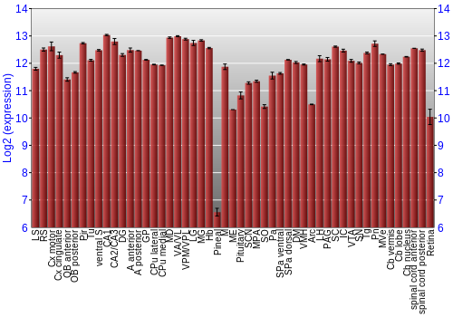 Expression graph