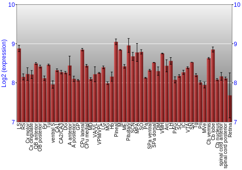 Expression graph