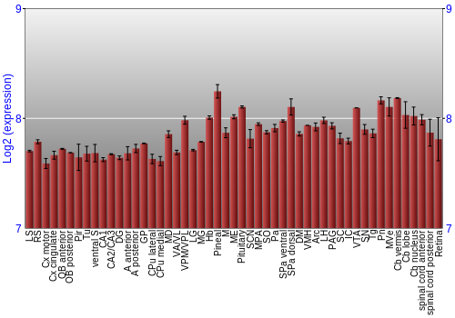 Expression graph