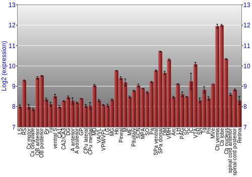 Expression graph
