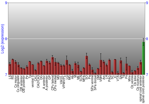 Multi-state expression graph
