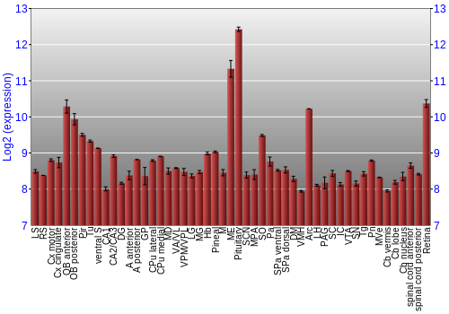 Expression graph