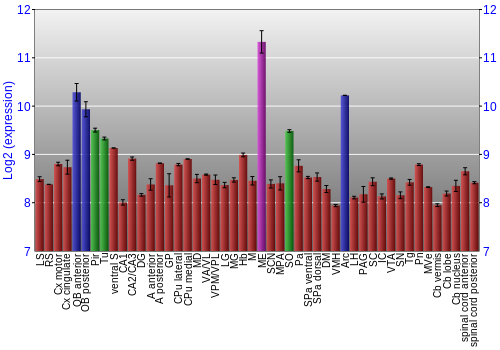 Multi-state expression graph