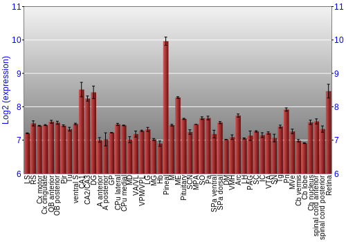 Expression graph