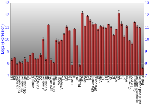 Expression graph