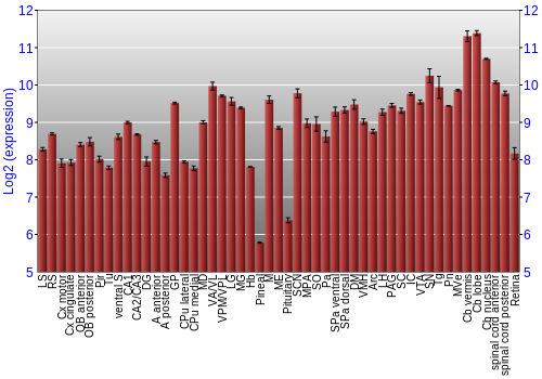 Expression graph