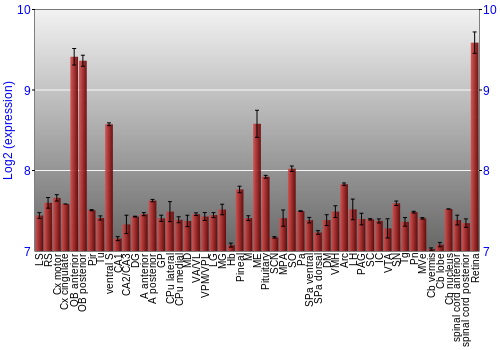 Expression graph