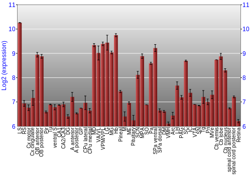 Expression graph
