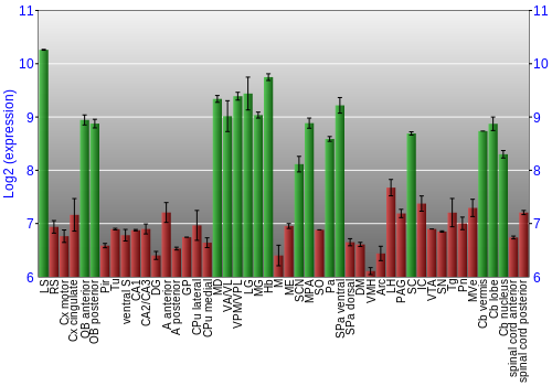 Multi-state expression graph
