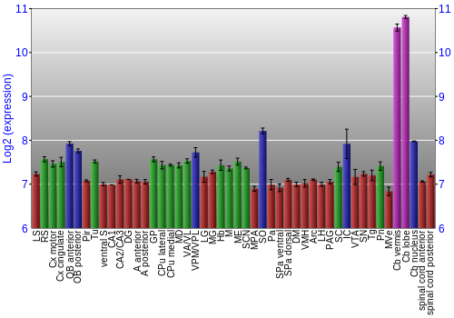 Multi-state expression graph
