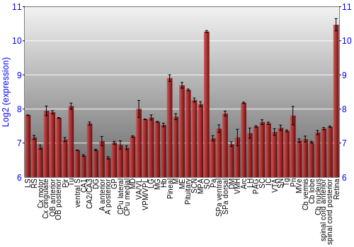 Expression graph