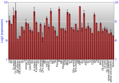 Expression graph