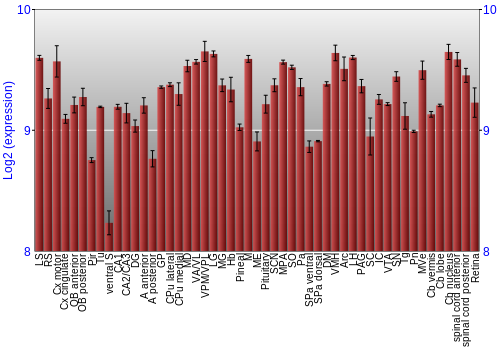 Expression graph