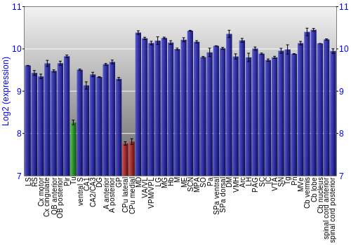 Multi-state expression graph