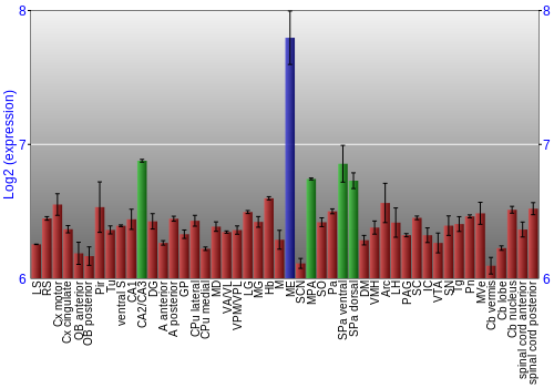 Multi-state expression graph