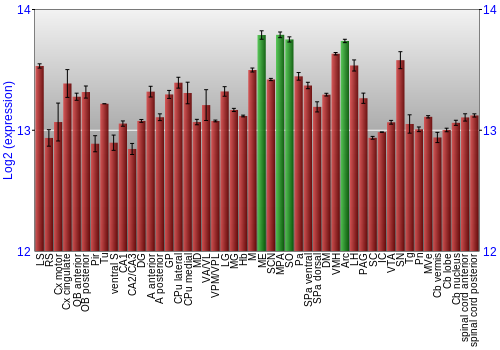 Multi-state expression graph