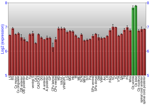Multi-state expression graph