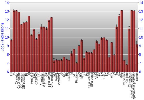 Expression graph