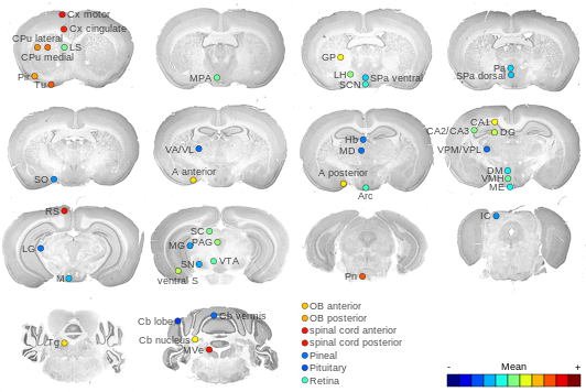 Expression map