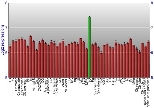 Multi-state expression graph