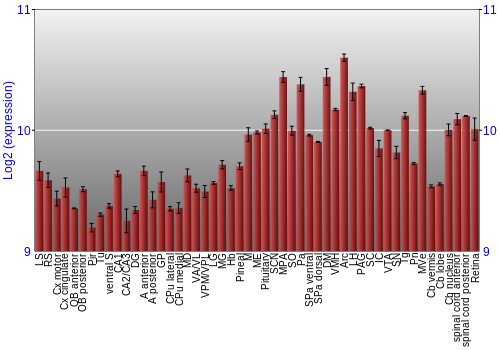 Expression graph