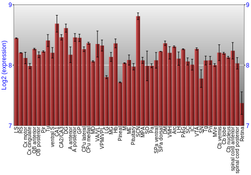 Expression graph