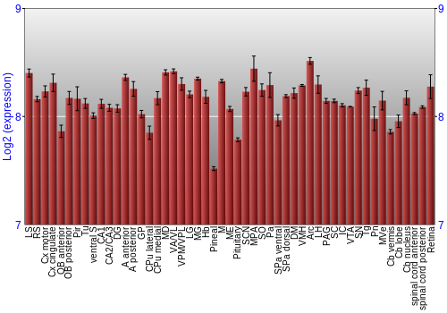 Expression graph