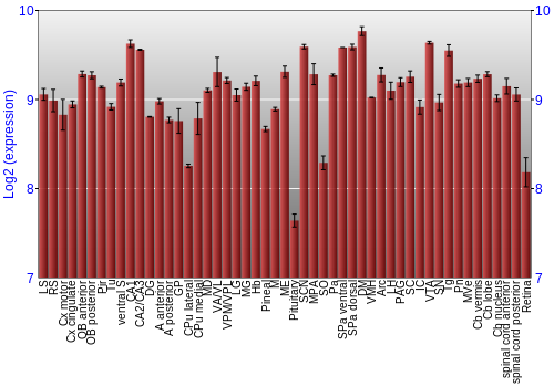Expression graph