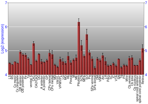 Expression graph