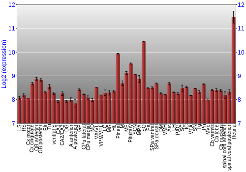 Expression graph