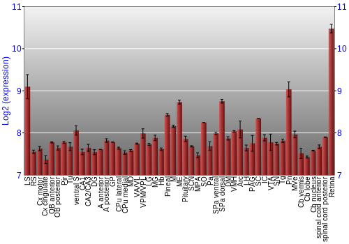 Expression graph