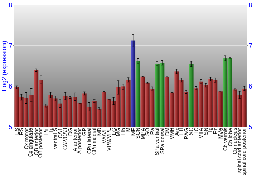 Multi-state expression graph
