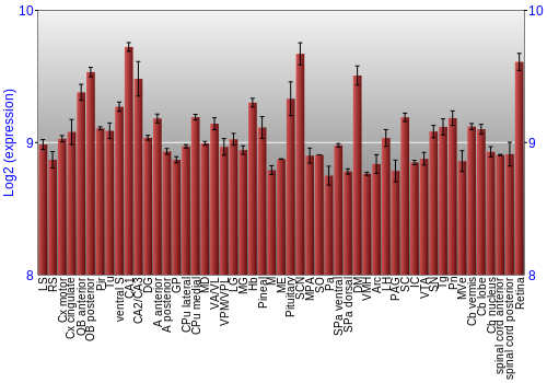 Expression graph