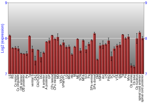 Multi-state expression graph