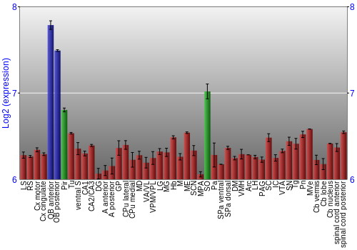 Multi-state expression graph