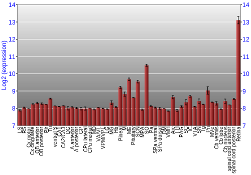 Expression graph
