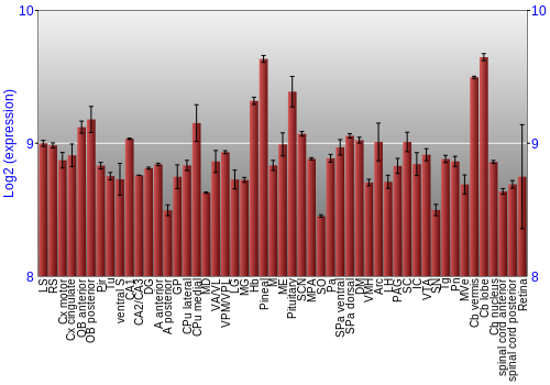 Expression graph