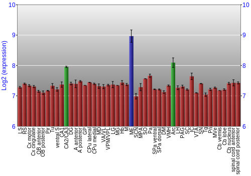 Multi-state expression graph