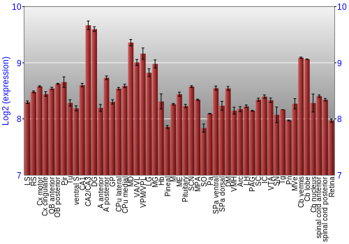 Expression graph
