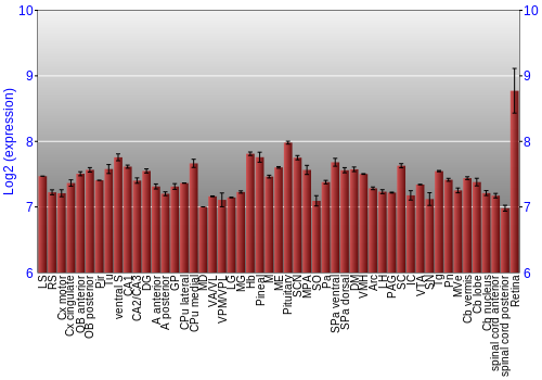 Expression graph