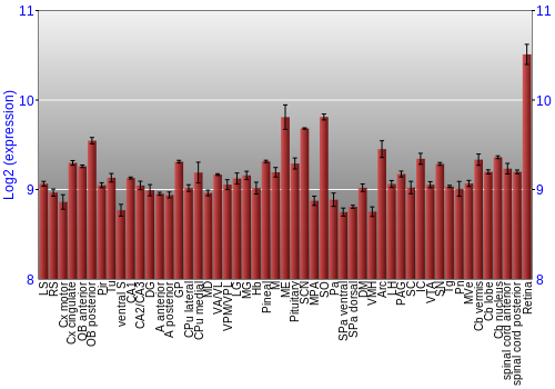 Expression graph