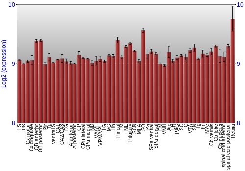 Expression graph