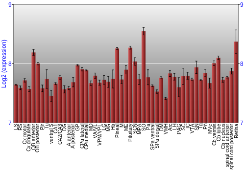 Expression graph