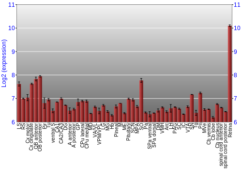 Expression graph
