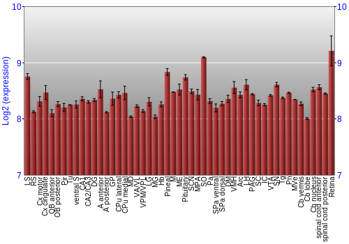 Expression graph
