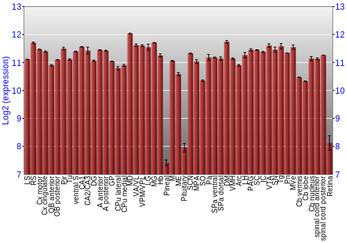 Expression graph